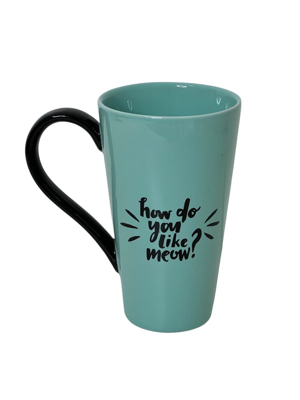 Everyday Living Tall Cat Mug Whiskers How Do You Like Meow Teal Cat Lover